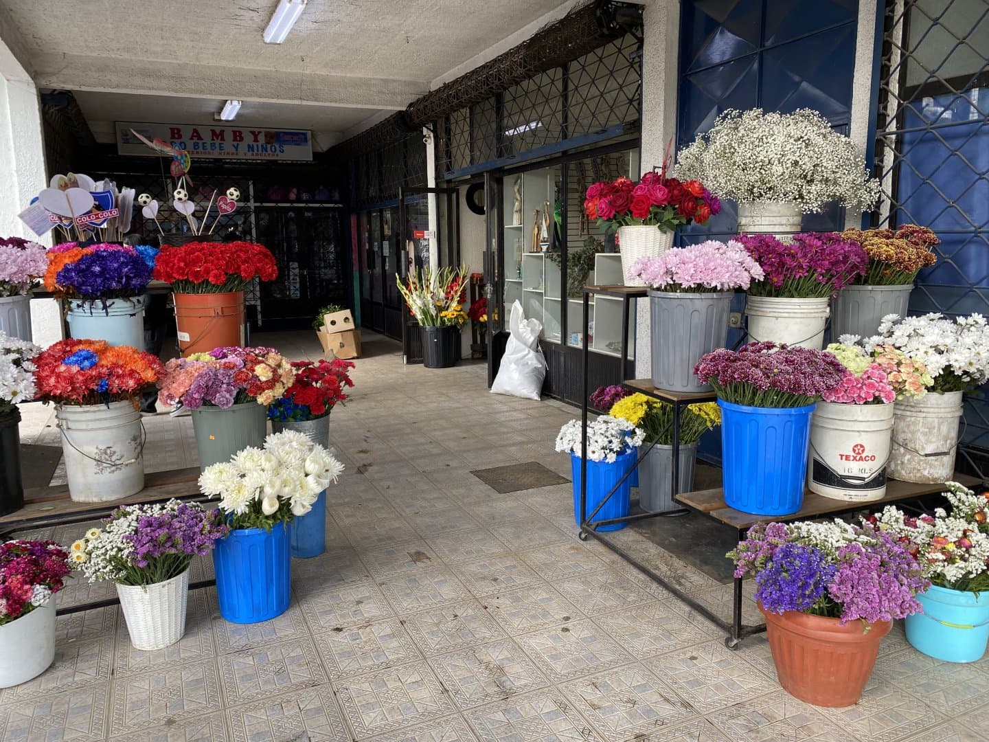 Portada de Florería JC